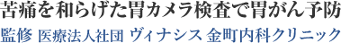 苦痛を和らげる胃カメラ検査で胃がん予防 監修 ヴィナシス金町内科クリニック